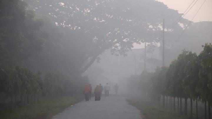 ইবির ১৭৫ একরে