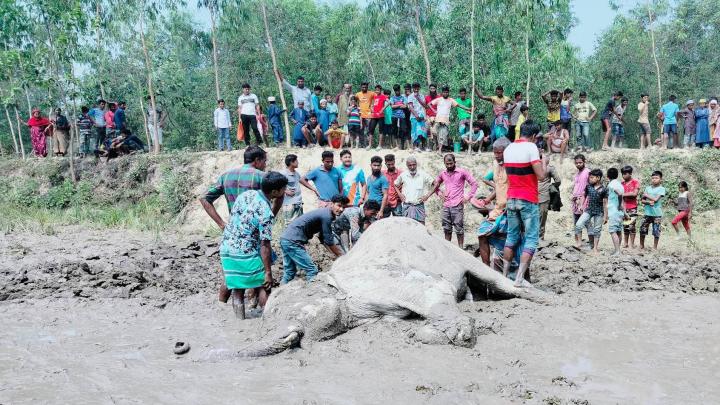 শেরপুরে