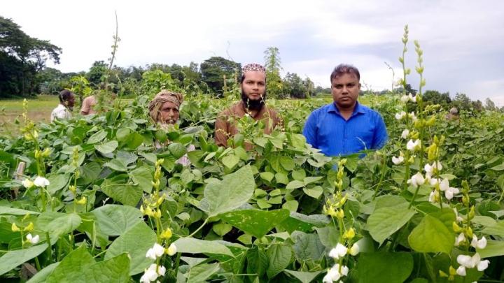 কটিয়াদীতে সাফল্যের স্বপ্ন দেখছে কৃষক