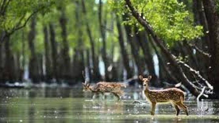 ইউএনডব্লিউটিওর সংবিধি গৃহীত হয়েছিল